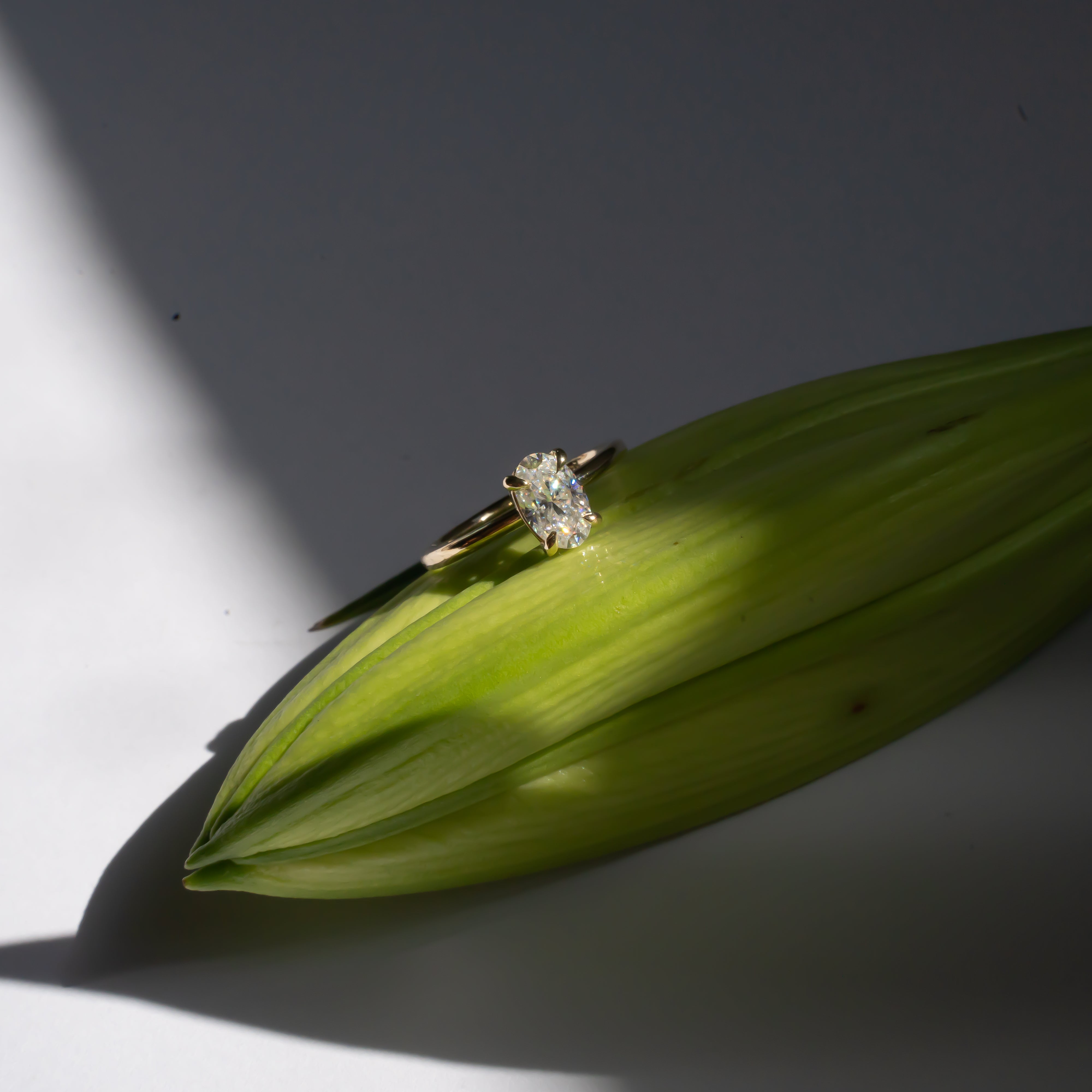 Signature Solitaire Rings